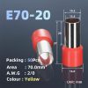 E70-20