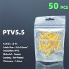 PTV5.5