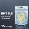 BHT5.5