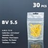 BV5.5