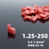 FLDNY1.25