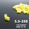 FLDNY5.5